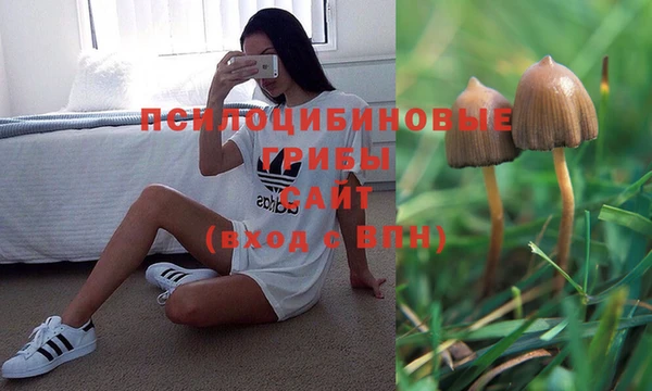 таблы Лабытнанги