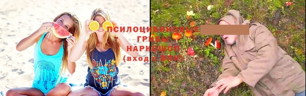 эйфоретик Ладушкин