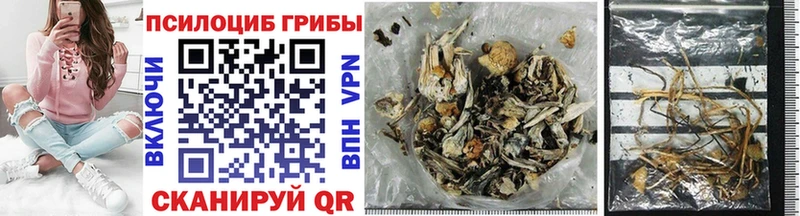 Галлюциногенные грибы GOLDEN TEACHER  наркота  Шенкурск 